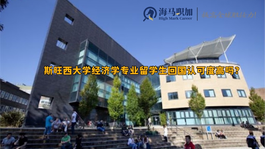 斯旺西大学