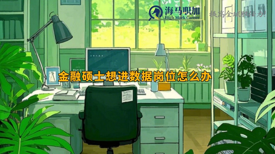 金融硕士想进数据岗位怎么办