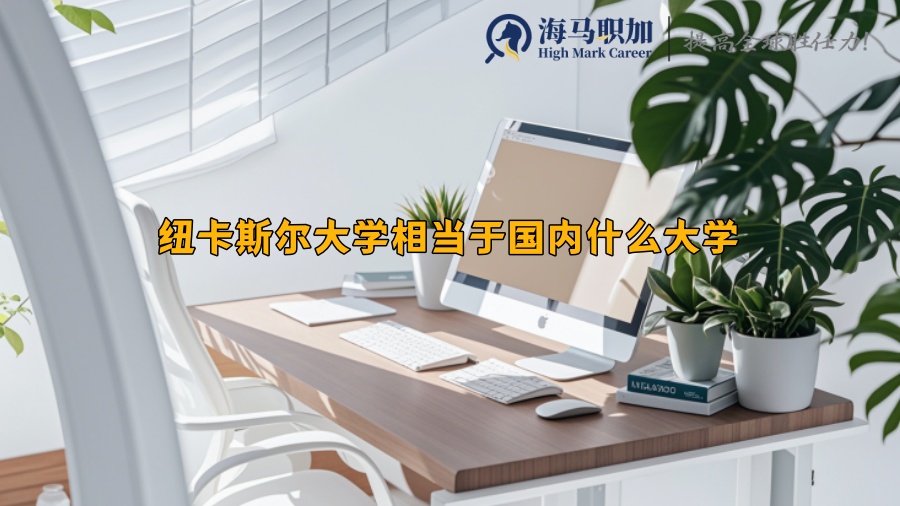 纽卡斯尔大学相当于国内什么大学